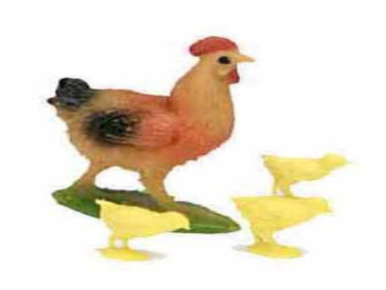 belep31708-gallina-cria-4cm-p31708