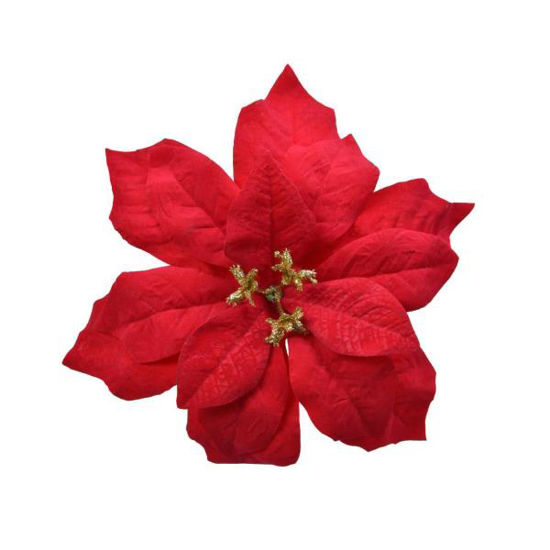 kaem629447-flor-pascua-roja-26cm