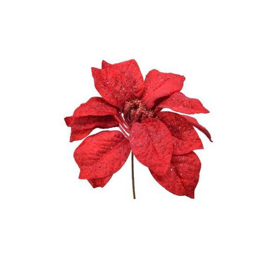 kaem687072-flor-de-pascua-roja-clip