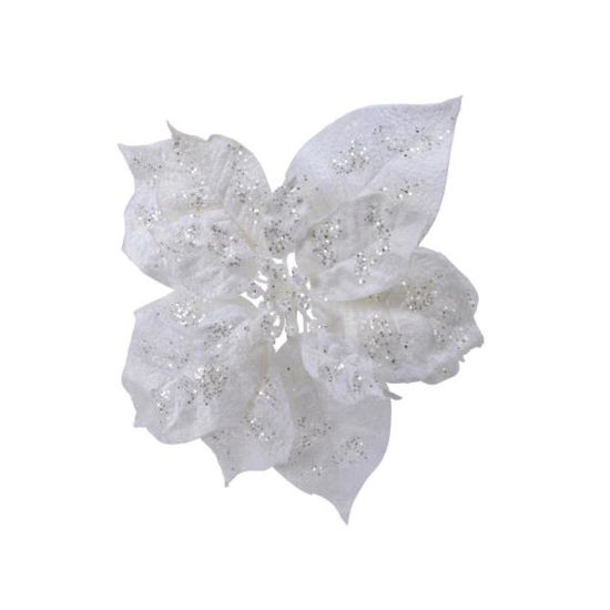 kaem629429-flor-poinsettia-clip-bla