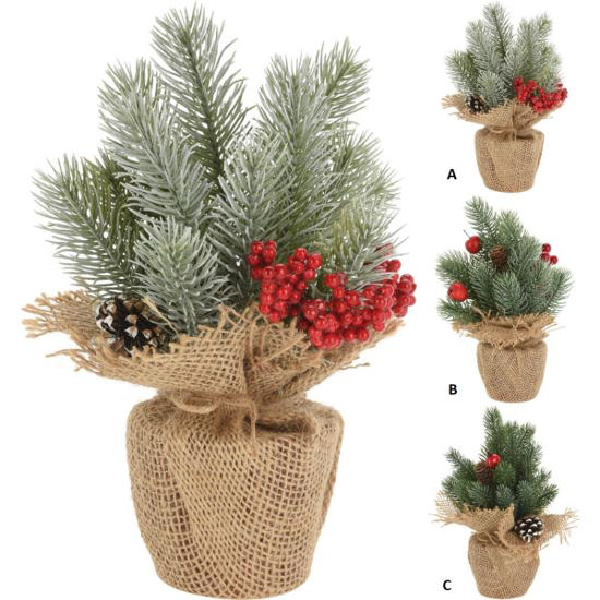 koopanm101270-arbol-navidad-en-mace