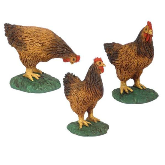 oliv28351-gallina-marmolina-para-21