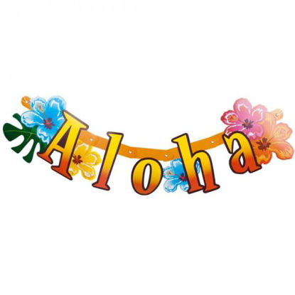 bola52515-bandera-multicolor-aloha-