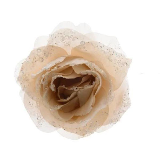 kaem629347-rosa-clip-crema