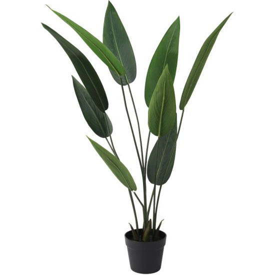 koop318001200-maceta-c-planta-65cm-