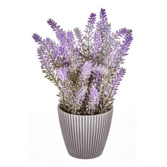 nahu4846-maceta-lavanda-25-5cm