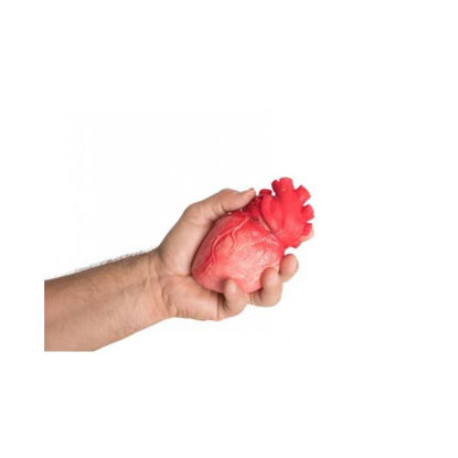 carn9060-corazon-sangriento-13cm-ha