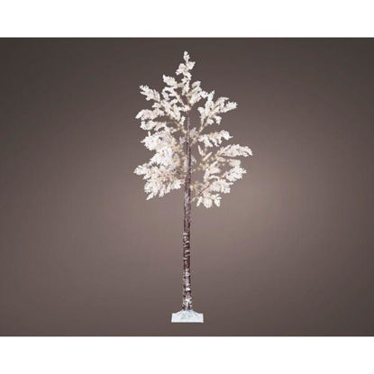 kaem492769-arbol-flor-blanca-210cm-