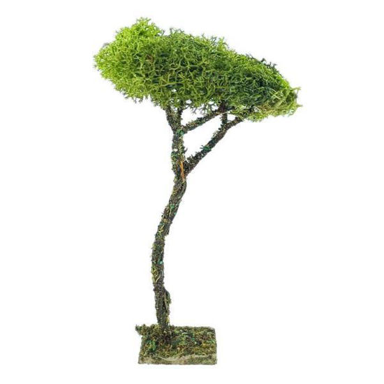 ross86566-arbol-16cm