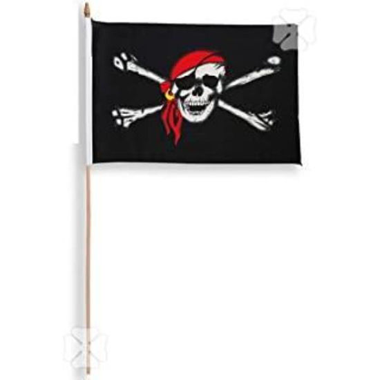 carn8826-bandera-pirata-30x44cm-882