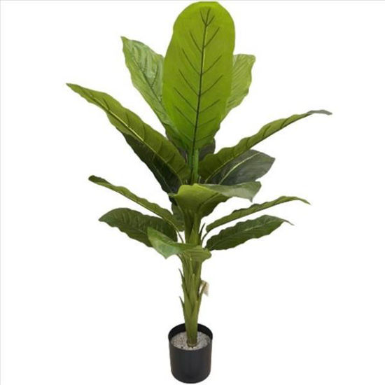 weay2892004-planta-c-maceta-120cm