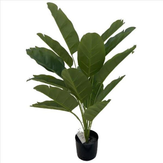 weay2892001-planta-c-maceta-77cm