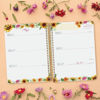 cabe627100425-agenda-cloe-16-meses-