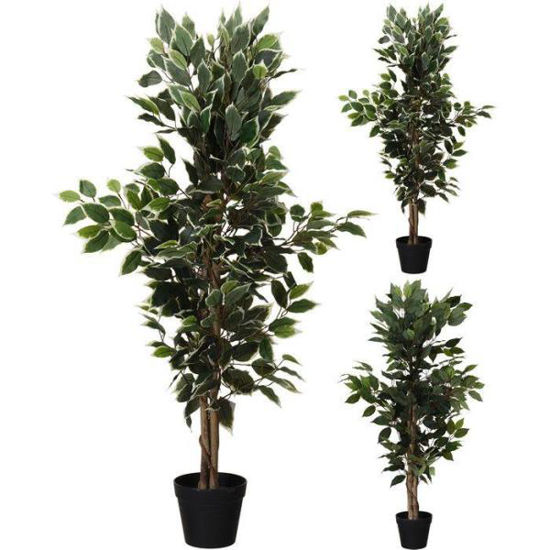 koop317002630-maceta-c-planta-115cm