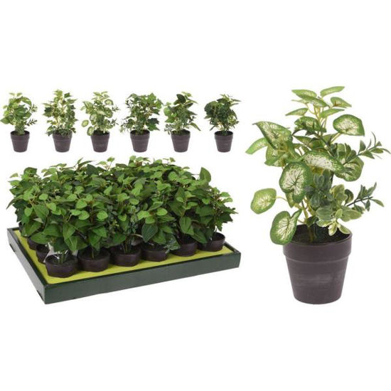 koop317002580-maceta-planta-20cm-st