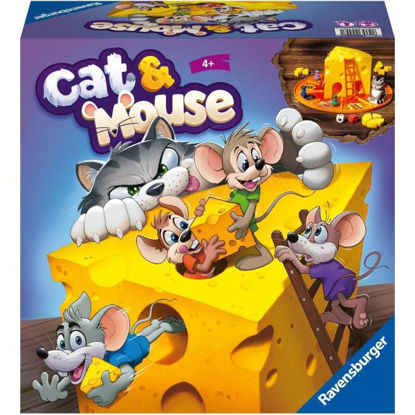 rave245581-juego-cat&mouse