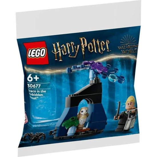 lego30677-figura-draco-en-el-bosque