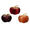 kaem707571-calabaza-terciopelo-biri