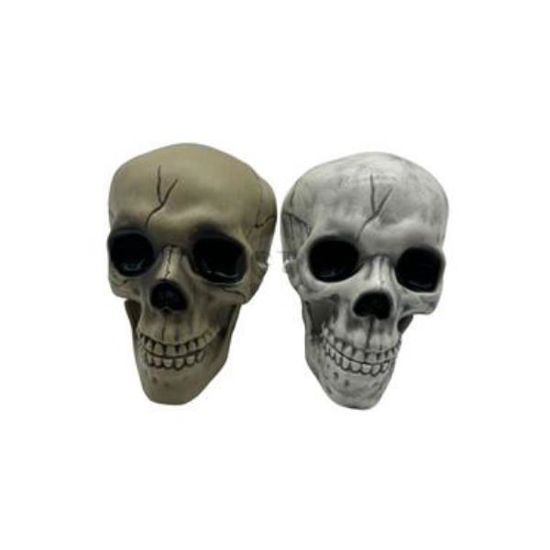 koop491662880-calavera-halloween-st