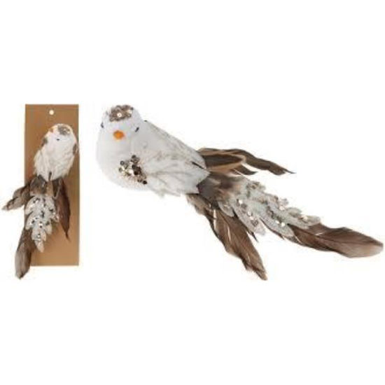 koophc4611750-pajaro-en-clip-23cm-b