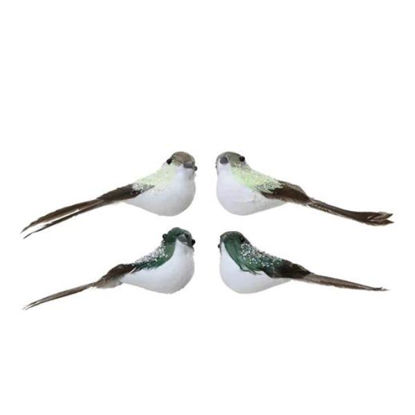 kaem652429-pajaro-foam-en-clip-stdo