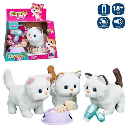 juin701855-mascota-gato-andador-c-a