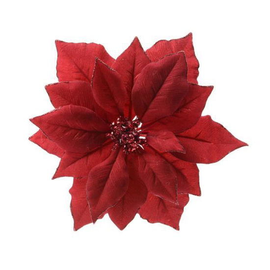 kaem629332-flor-pascua-roja-clip-24